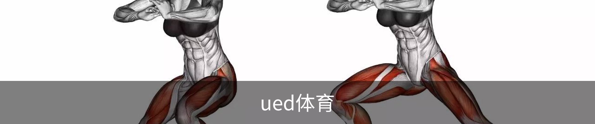 ued体育